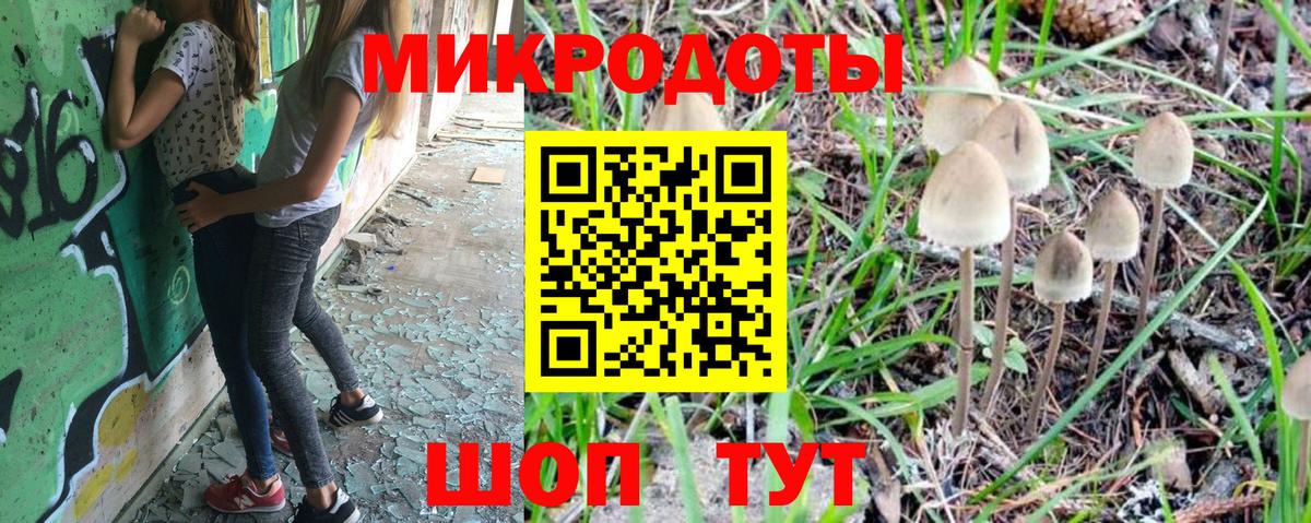 Псилоцибиновые грибы Magic Shrooms  Вход с VPN  купить наркотик  Елец  Псилоцибиновые грибы Magic Shrooms 